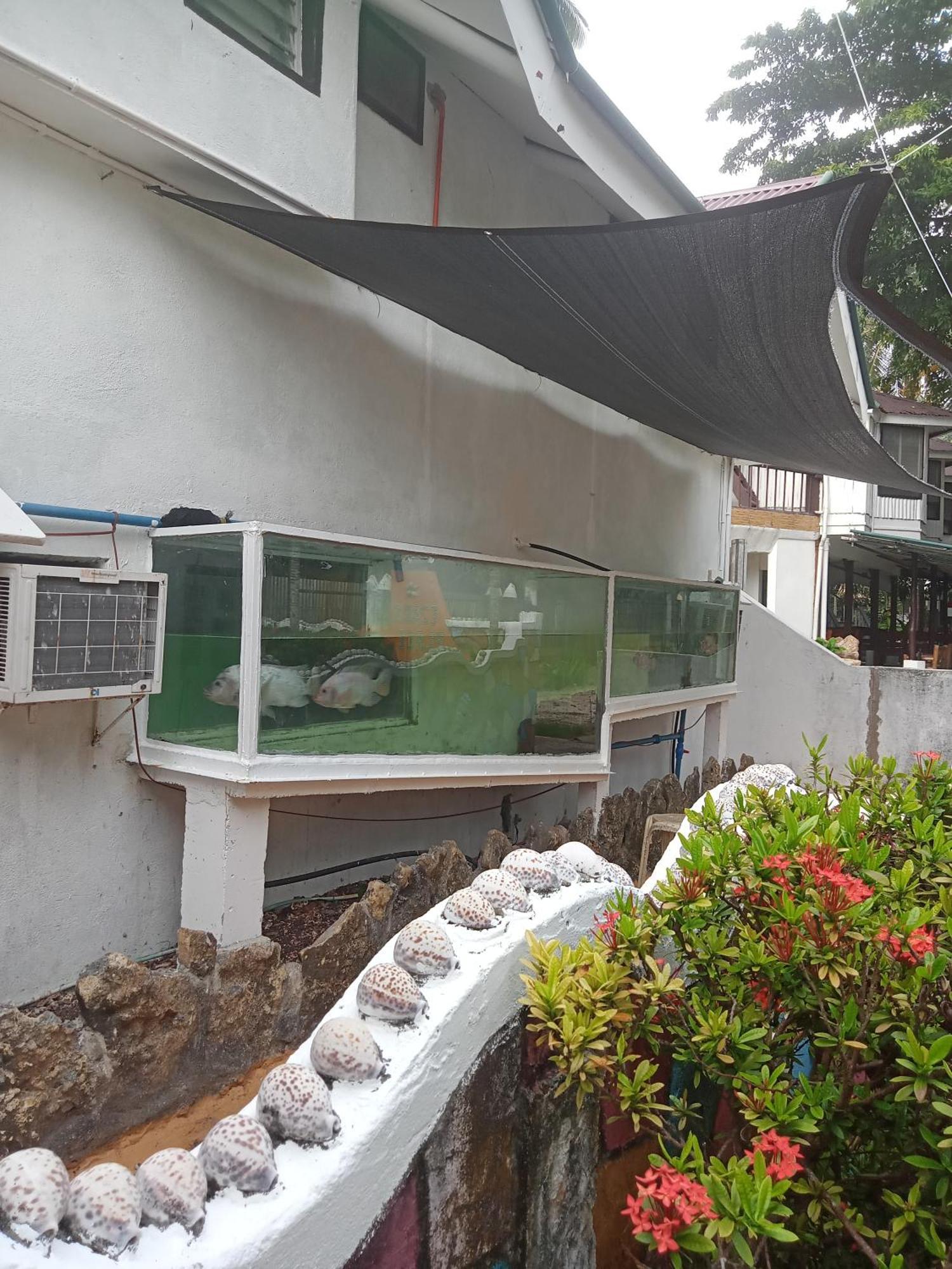 Czar'S Place Siquijor Exterior photo